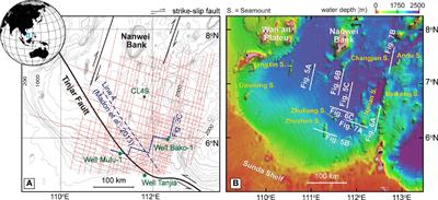 Carbonate contourite drifts in the southwest South China Sea: Sedimentary, paleoceanographic and economic implications